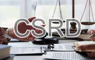 CSRD - Referentenentwurf